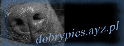http://dobrypies.ayz.pl