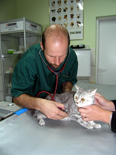 http://www.medwet.pl/images/kardio301m.jpg