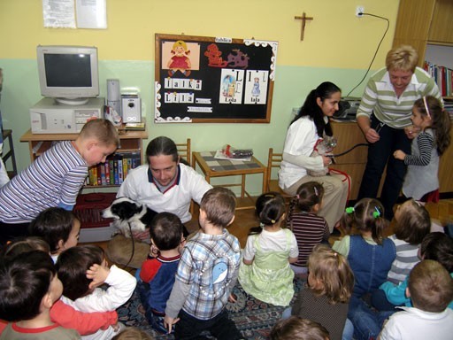 http://www.medwet.pl/images/przedszkole/005m.jpg