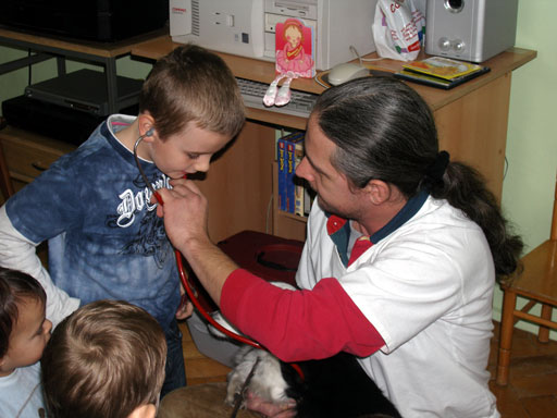 http://www.medwet.pl/images/przedszkole/006m.jpg