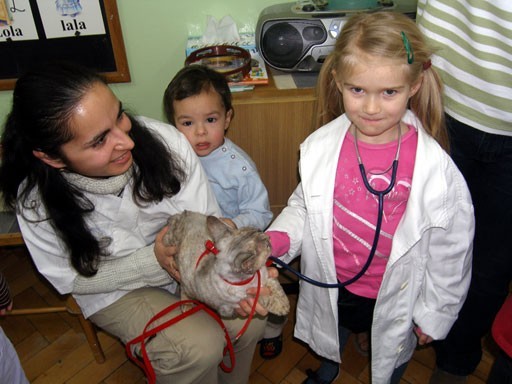 http://www.medwet.pl/images/przedszkole/012m.jpg