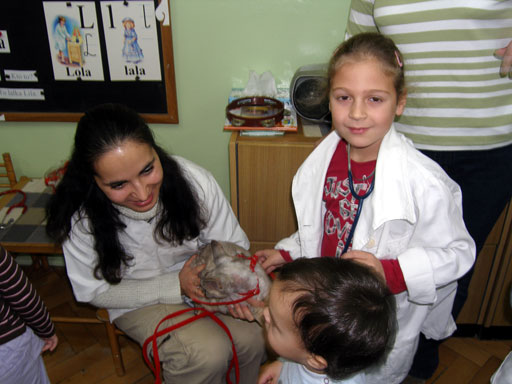 http://www.medwet.pl/images/przedszkole/013m.jpg