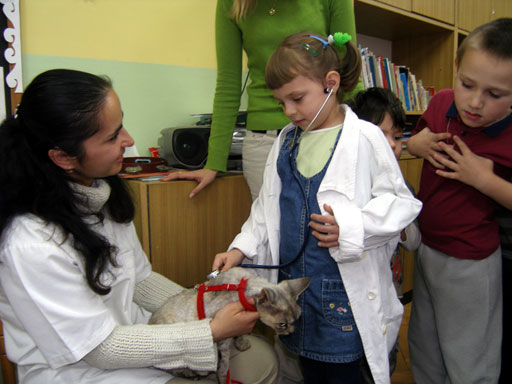http://www.medwet.pl/images/przedszkole/016m.jpg
