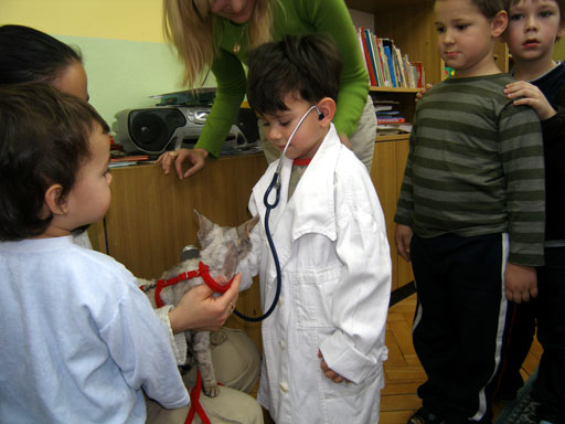 http://www.medwet.pl/images/przedszkole/017m.jpg