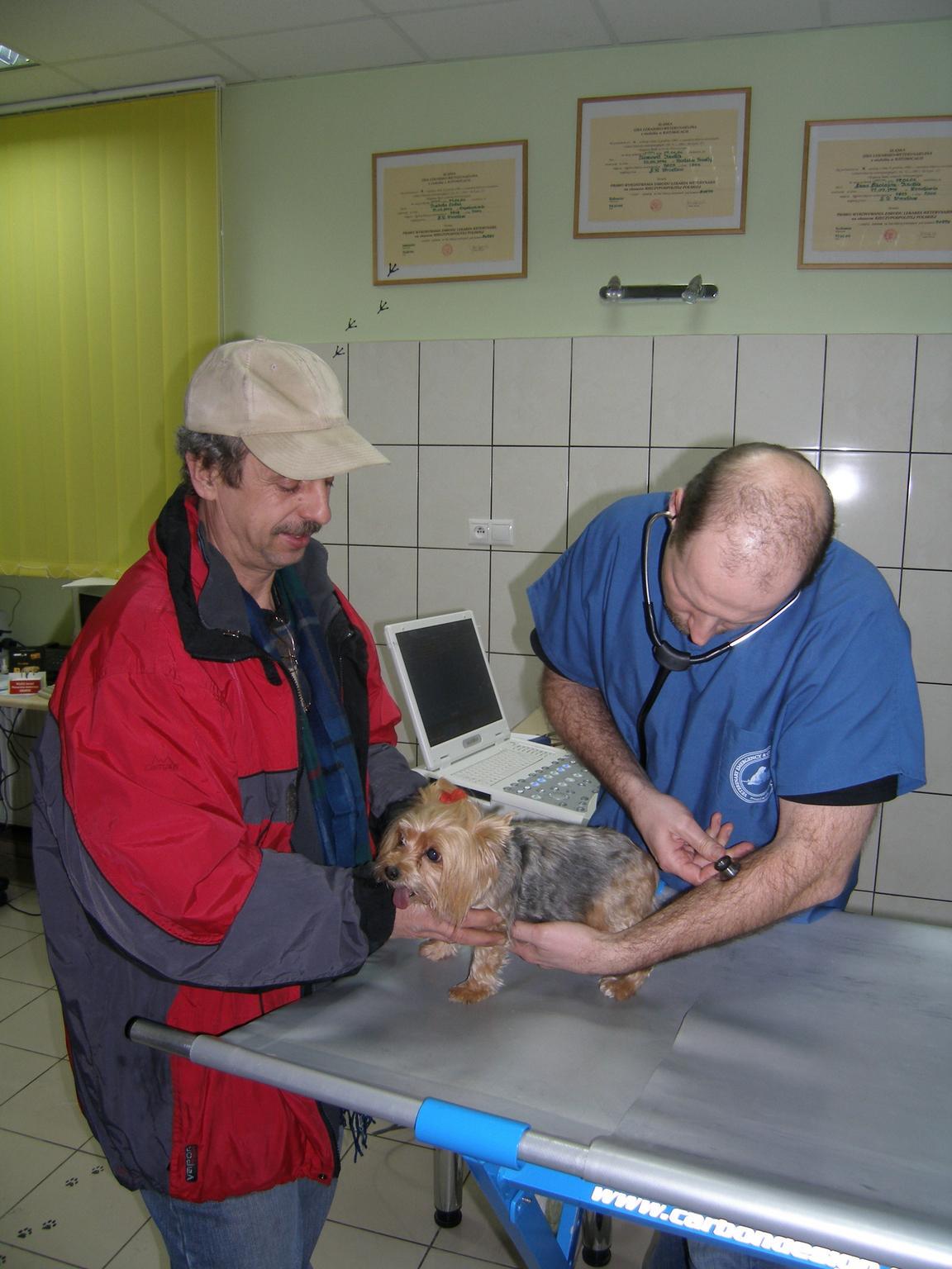 http://www.medwet.pl/images/rafal/P3050037.JPG