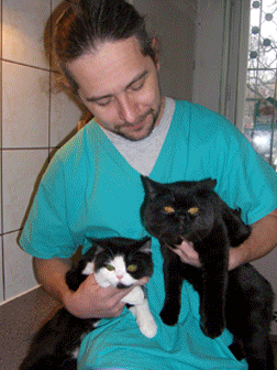 http://www.medwet.pl/images/strona06.gif