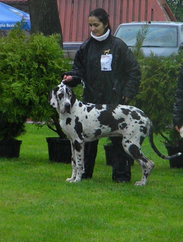 http://www.medwet.pl/images/wystawy/Clipboard03.jpg