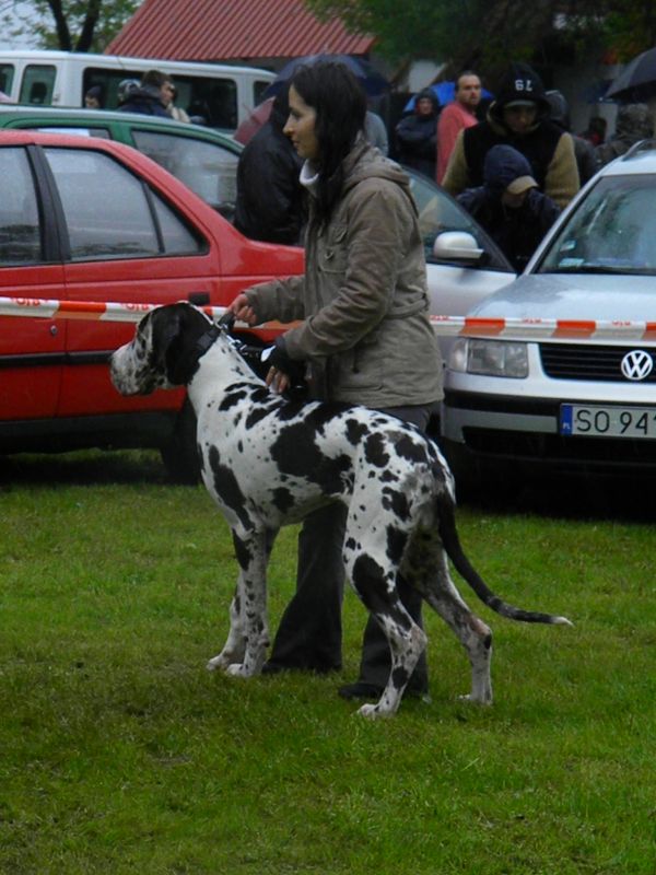 http://www.medwet.pl/images/wystawy/DSCN1815.jpg