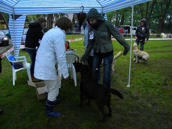 http://www.medwet.pl/images/wystawy/DSCN1843.jpg